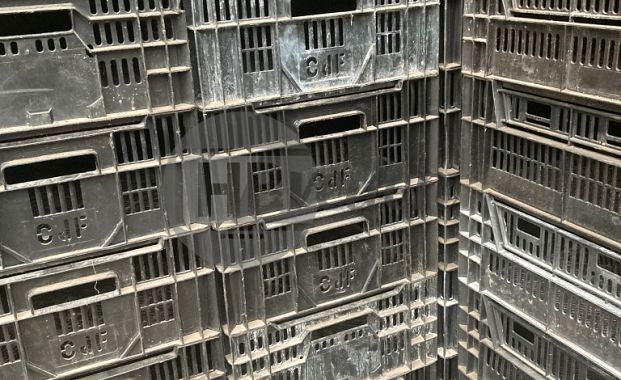 Exportkratten / Tulpenkratten