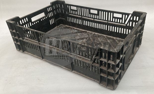 Exportkratten / Tulpenkratten