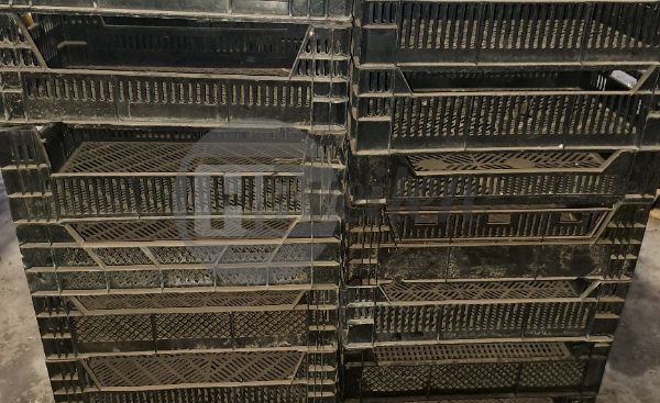 Exportkratten 