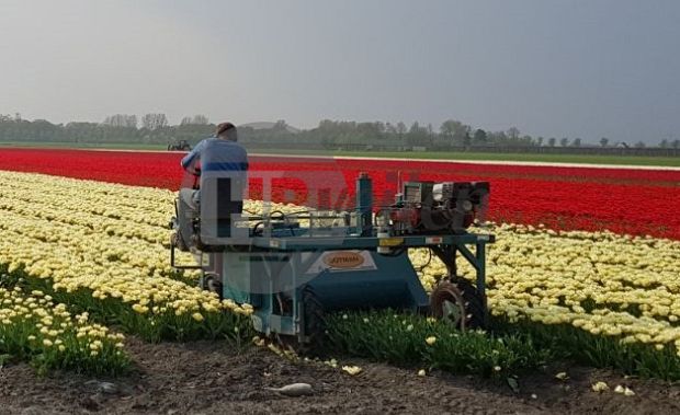 Zelfrijdende kopmachine (1.50)