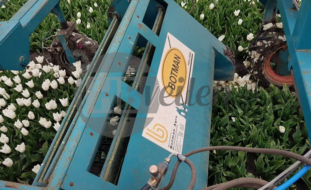 Zelfrijdende kopmachine (1.50)