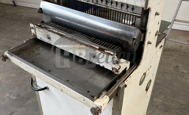 Broodsnijmachine (Zantedeschia)