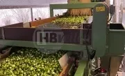 Bunkersorteermachine met voorsorteerder en toevoerband