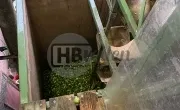 Bunkersorteermachine met voorsorteerder en toevoerband