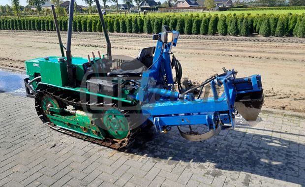 Bomenrooier