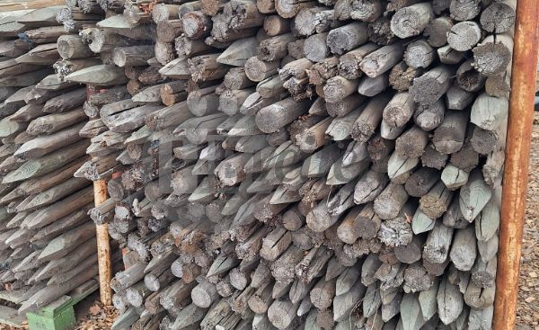 Houten palen