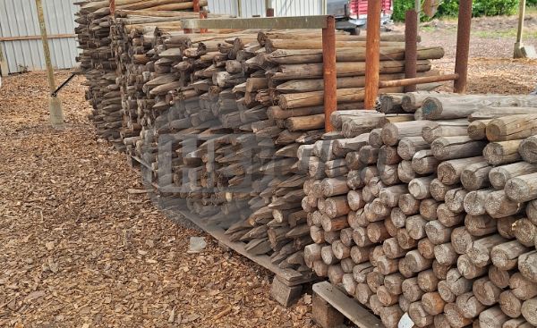 Houten palen