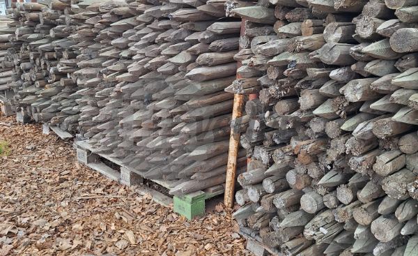 Houten palen