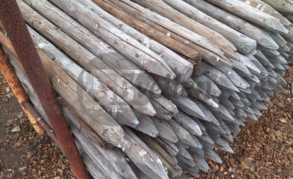 Houten palen