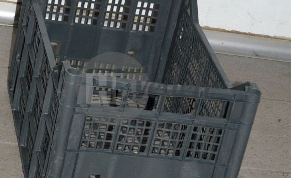 Gevraagd: Plastic kratten