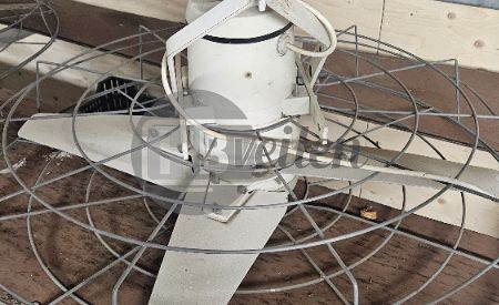 Plafondventilator