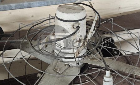 Plafondventilator