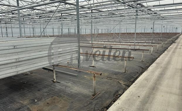 Te Huur / Koop: Tulpenbroeierij