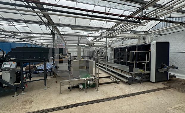 Tulpen Opplantmachine