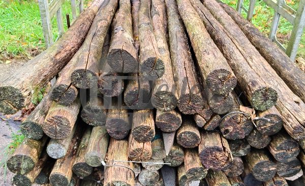 Houten palen 