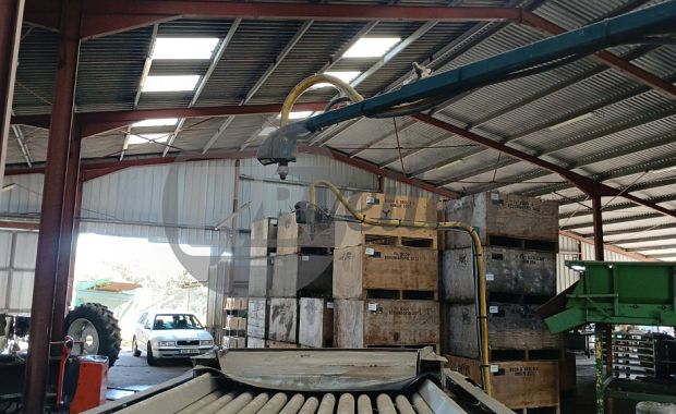 Rollenzeef / Trilzeef