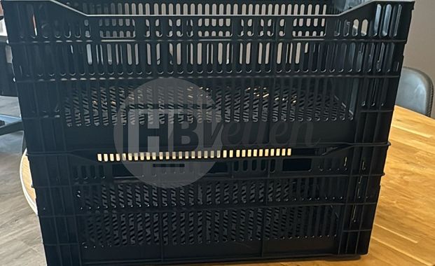 Leliekratten (Nieuw)