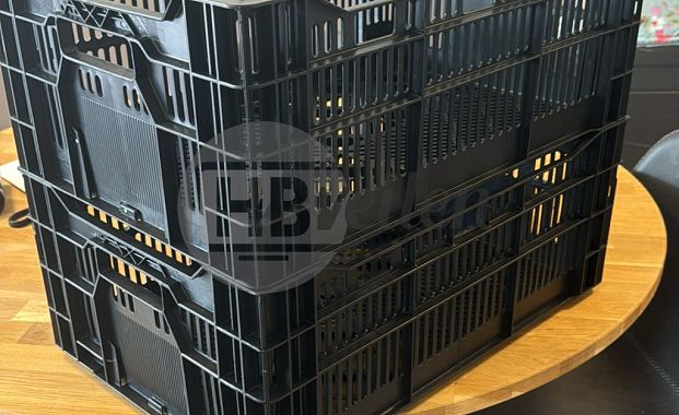 Leliekratten (Nieuw)