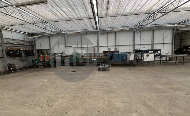 Boslijn (Quality Buncher)