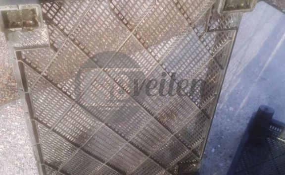 Gevraagd: Kunststof gaasbakken