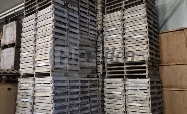 Hyacinten bakken / Holbakken