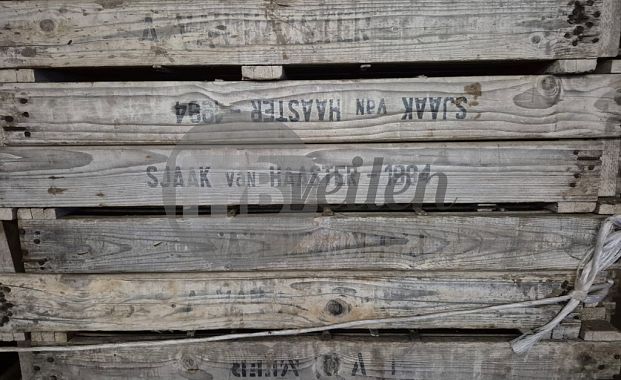 Hyacinten bakken / Holbakken