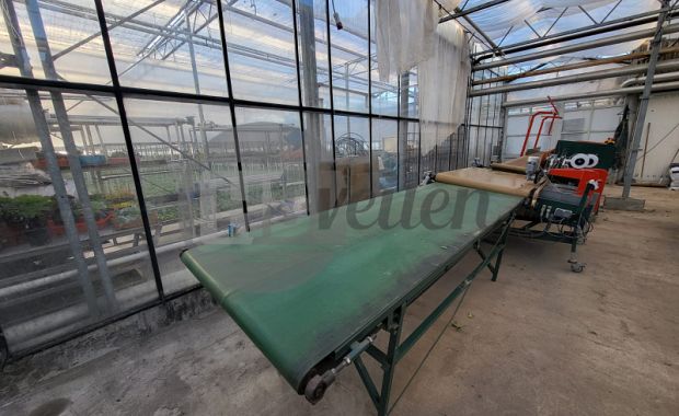 Boslijn (Quality Buncher) 