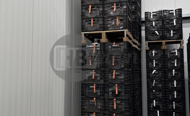 Onderzetters / Pallets