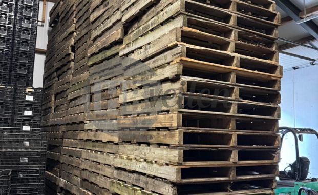 Pallets (120x120 cm)