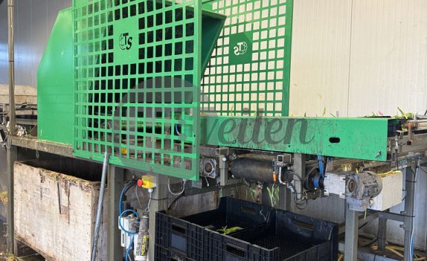 Wasstraat voor broeifust