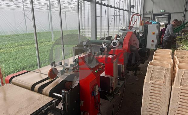 Boslijn (Quality Buncher Pro)