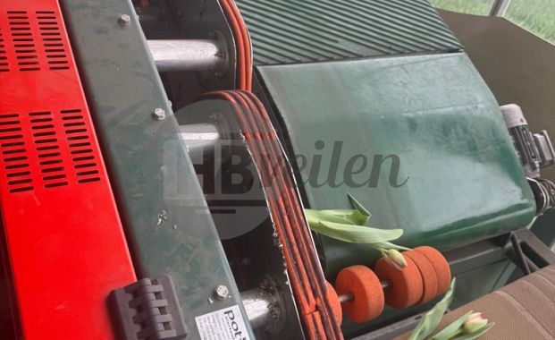 Boslijn (Quality Buncher Pro)