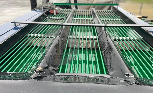 Verwerkingslijn (Zantedeschia's)