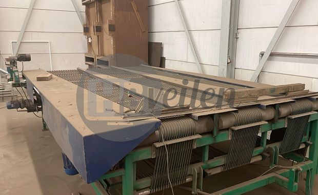 Verwerkingslijn (Zantedeschia's)