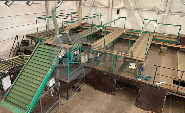 Verwerkingslijn (Zantedeschia's)