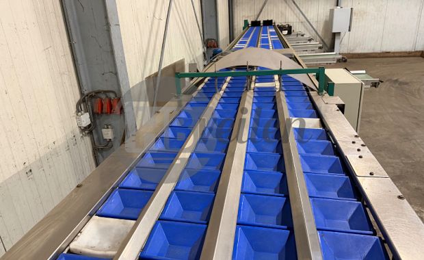 Weegteller + Verenkelaar