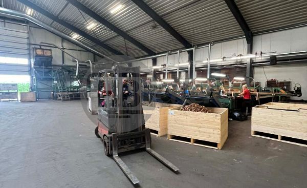 Complete Verwerkingslijn