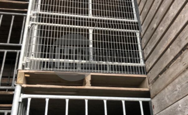 Koolkisten / gaaskisten