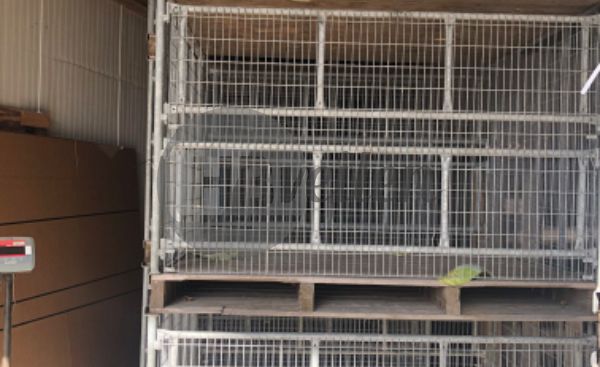 Koolkisten / gaaskisten