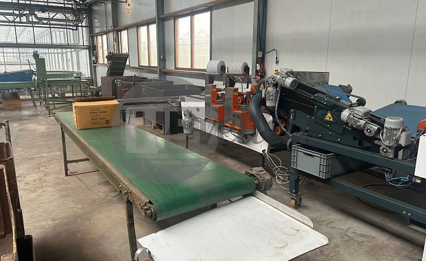 Boslijn (Quality Buncher)