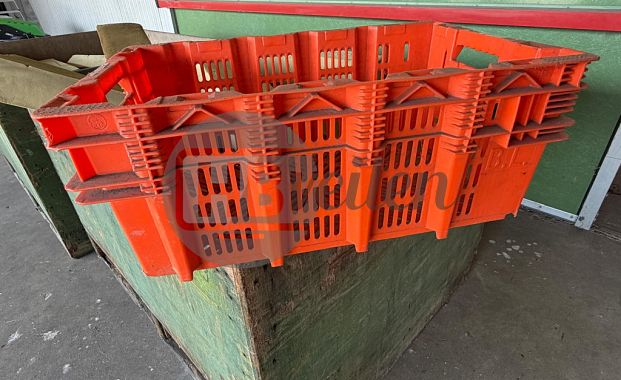 Nestbare leliekratten