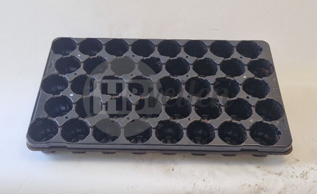 Stek-trays