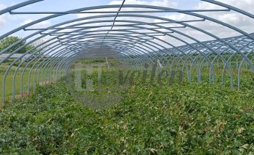 Tunnelkas