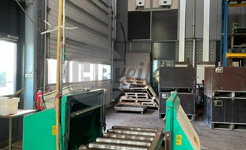 Plantlijn