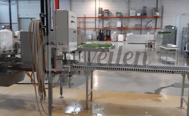 Zaad zaailijn / Seeding Line