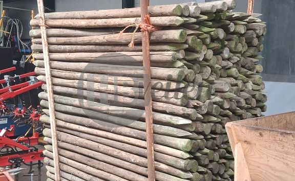 Houten palen 