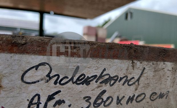 Bunkerband met transportband